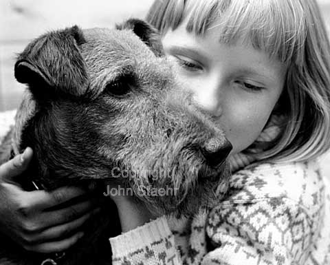 Irsk Terrier, Hundeudstilling Charlottenlund Travbane.
19-06-64.
6x6, tiff, 300 dpi, size: 4 - 7 MB.
Printsize: 25 cm
n6440205.jpg