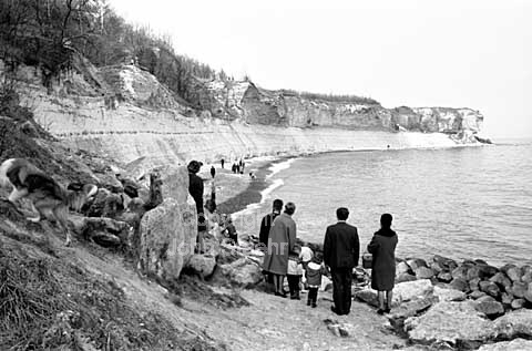 Stevns Klint
27-04-64.
24x36, tiff, 300 dpi, size: 4 - 7 MB.
Printsize: 25 cm. sa64211602.jpg