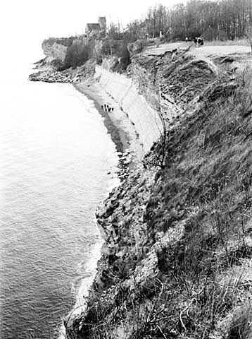 Stevns Klint
27-04-64.
24x36, tiff, 300 dpi, size: 4 - 7 MB.
Printsize: 25 cm. sa64211605.jpg