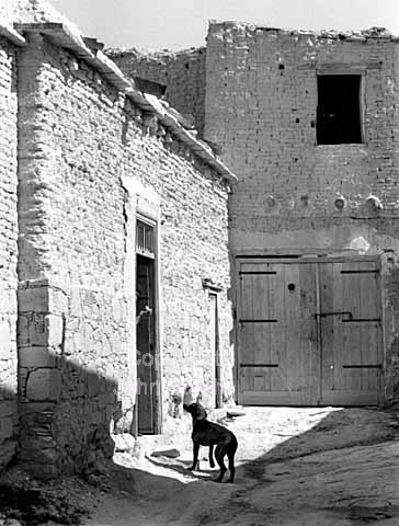 People and animals in the Turkish village Louroujina in Cyprus.
08/03/1965.
24x36, tiff, 300 dpi, size: 14 - 24 MB.
Printsize: 25 cm. sa65130706.jpg